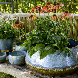 ARTE WOHNACCESSOIRES