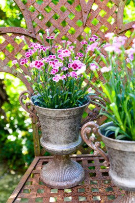 ARTE WOHNACCESSOIRES