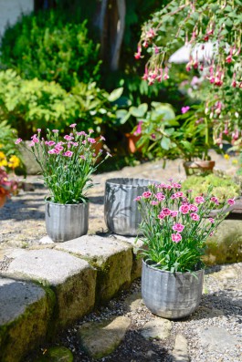 ARTE WOHNACCESSOIRES