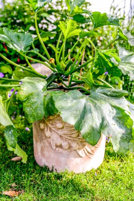 ARTE WOHNACCESSOIRES