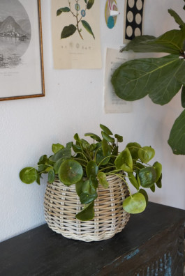 ARTE WOHNACCESSOIRES