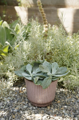 ARTE WOHNACCESSOIRES