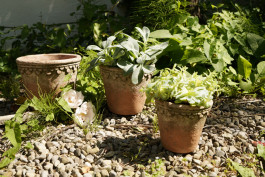 ARTE WOHNACCESSOIRES