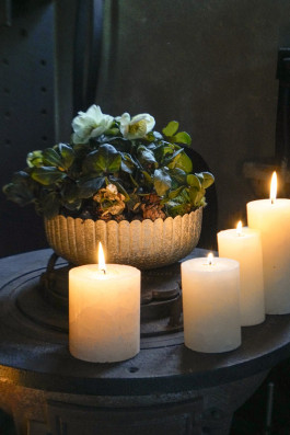 Arte Wohnaccessoires