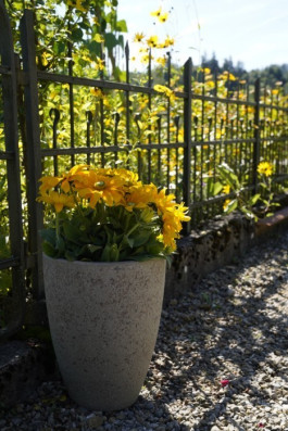 ARTE WOHNACCESSOIRES