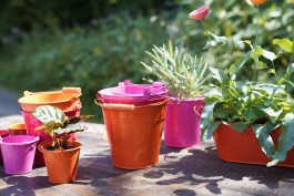 ARTE WOHNACCESSOIRES