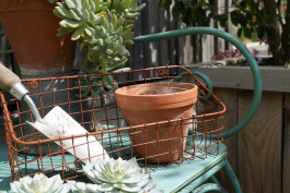 ARTE WOHNACCESSOIRES