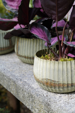 ARTE WOHNACCESSOIRES