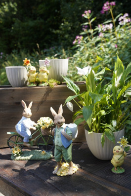 ARTE WOHNACCESSOIRES