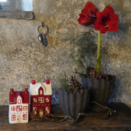 Arte Wohnaccessoires
